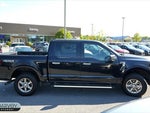 2025 F-150 Thumbnail 21