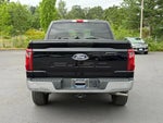2025 F-150 Thumbnail 4