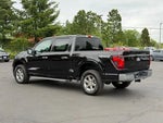 2025 F-150 Thumbnail 5