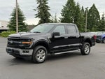 2025 F-150 Thumbnail 7