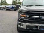 2025 F-150 Thumbnail 8