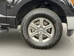 2025 F-150 Thumbnail 10
