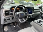 2025 F-150 Thumbnail 11