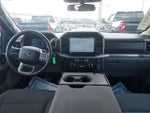 2025 F-150 Thumbnail 15
