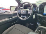 2026 F-150 Thumbnail 13