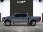 2024 F-150 Thumbnail 6