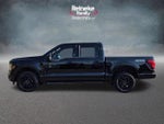 2024 F-150 Thumbnail 9