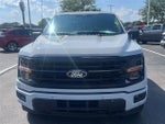 2024 F-150 Thumbnail 14
