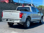 2024 F-150 Thumbnail 12