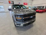 2024 F-150 Thumbnail 4