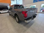 2024 F-150 Thumbnail 12