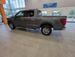2024 F-150 Thumbnail 14