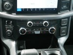 2025 F-150 Thumbnail 15