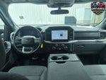 2025 F-150 Thumbnail 12