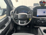 2025 F-150 Thumbnail 13
