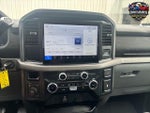 2025 F-150 Thumbnail 17