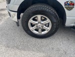 2025 F-150 Thumbnail 23