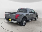 2025 F-150 Thumbnail 5