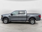 2025 F-150 Thumbnail 8