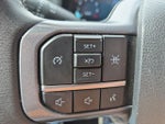 2025 F-150 Thumbnail 19
