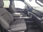 2025 F-150 Thumbnail 12