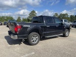 2025 F-150 Thumbnail 2