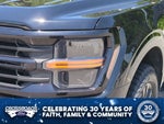 2024 F-150 Thumbnail 10