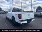 2024 F-150 Thumbnail 8