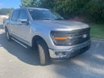 2024 F-150 Thumbnail 6