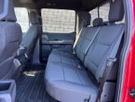 2024 F-150 Thumbnail 5