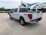 2025 F-150 Thumbnail 7