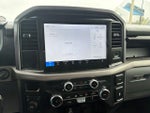 2025 F-150 Thumbnail 10