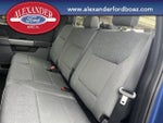 2025 F-150 Thumbnail 13