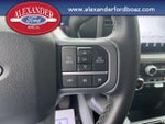 2025 F-150 Thumbnail 22