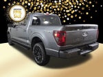 2025 F-150 Thumbnail 8