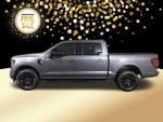 2025 F-150 Thumbnail 9