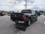 2025 F-150 Thumbnail 5