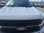 2025 F-150 Thumbnail 16
