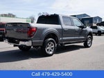 2025 F-150 Thumbnail 6