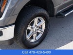 2025 F-150 Thumbnail 10