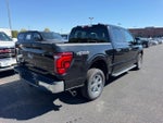 2025 F-150 Thumbnail 3