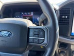 2025 F-150 Thumbnail 13