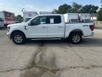 2025 F-150 Thumbnail 3