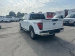 2025 F-150 Thumbnail 4
