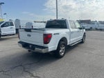 2025 F-150 Thumbnail 7