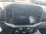 2025 F-150 Thumbnail 13