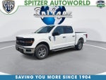 2025 F-150 Thumbnail 4