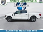2025 F-150 Thumbnail 6