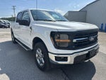2025 F-150 Thumbnail 11