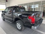 2025 F-150 Thumbnail 7